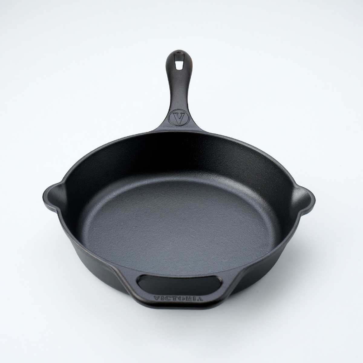 10-Inch Cast Iron Skillet Macaw