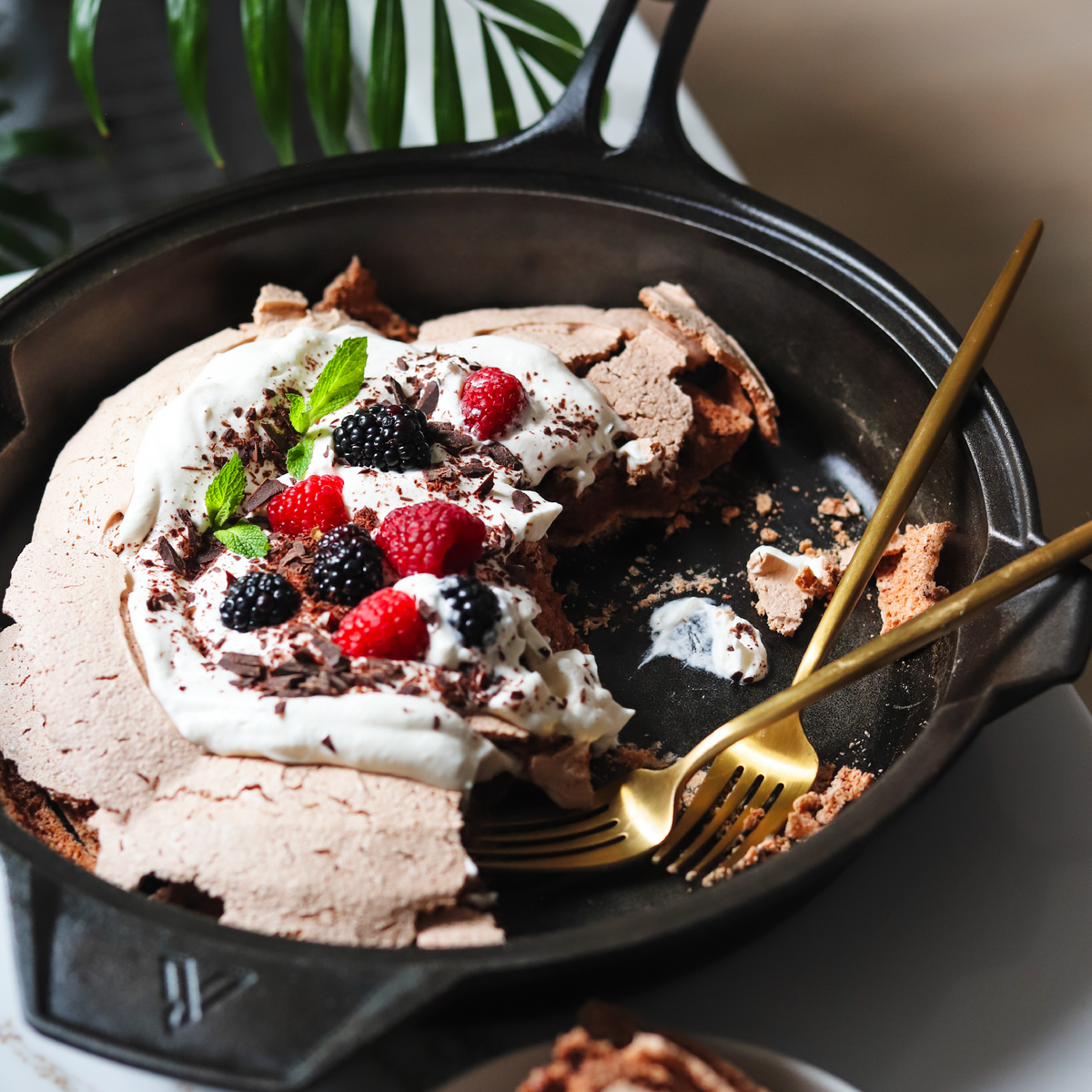10-Inch Cast Iron Skillet | Victoria Signature Series– Victoria Cookware